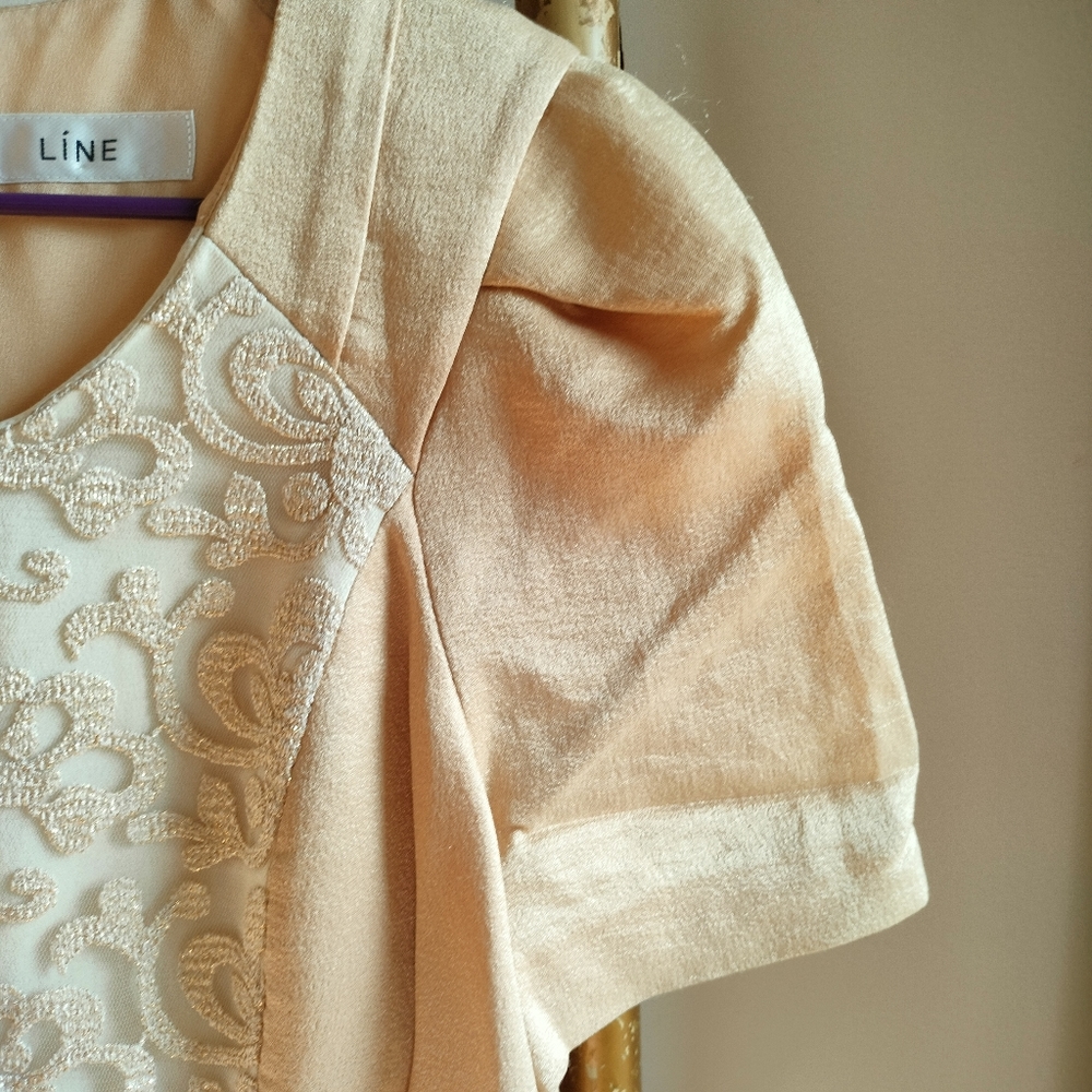 Korean Gold and Beige Embroidered Dress - Picture 14 of 14